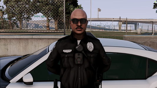 Los Santos Police Department Mega Pack V2