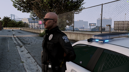Los Santos Police Department Mega Pack V2